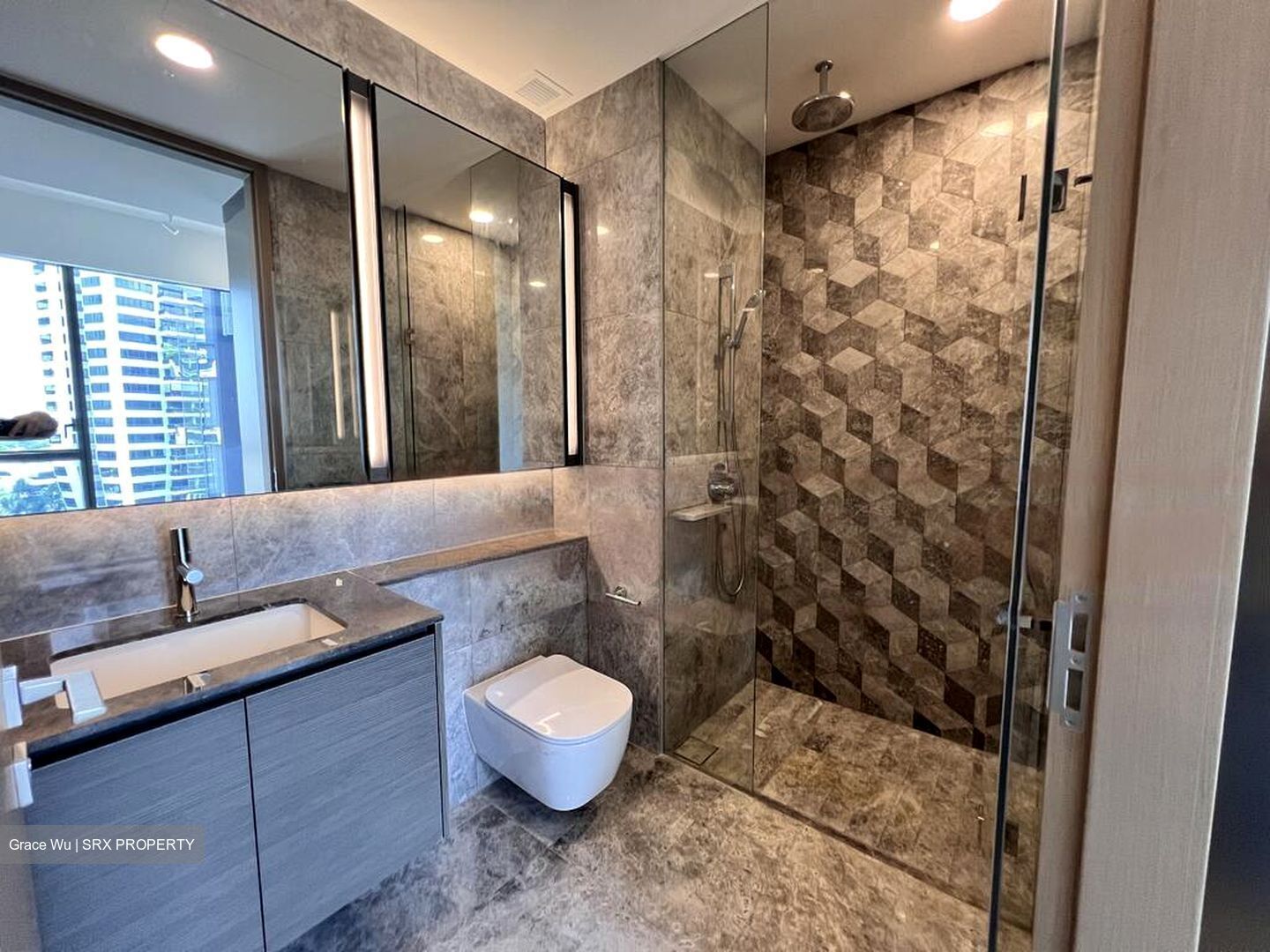 Leedon Green (D10), Condominium #560419931